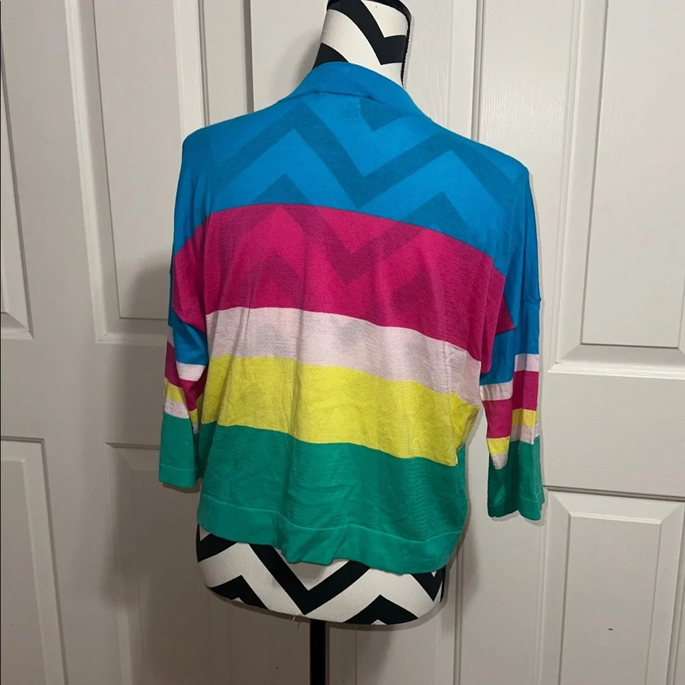 Cotton by Autumn Cashmere Colorful Striped Cropped Sweater